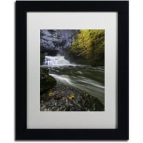Trademark Fine Art "Perfect Harmony" Canvas Art by Mathieu Rivrin, White Matte, Black Frame