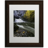 Trademark Fine Art "Perfect Harmony" Canvas Art by Mathieu Rivrin, White Matte, Wood Frame
