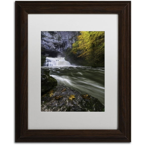 Trademark Fine Art "Perfect Harmony" Canvas Art by Mathieu Rivrin, White Matte, Wood Frame