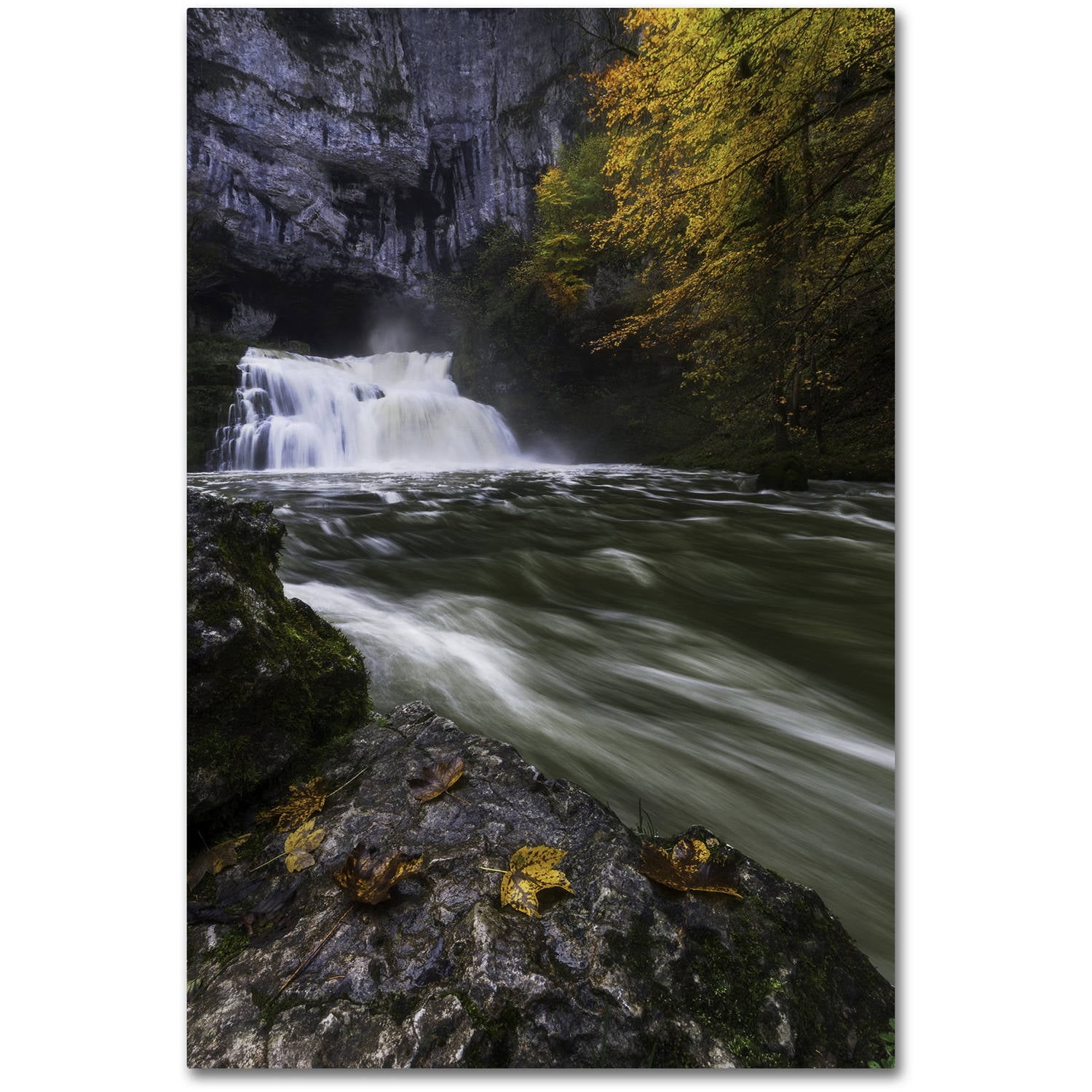 Trademark Fine Art "Perfect Harmony" Canvas Art by Mathieu Rivrin