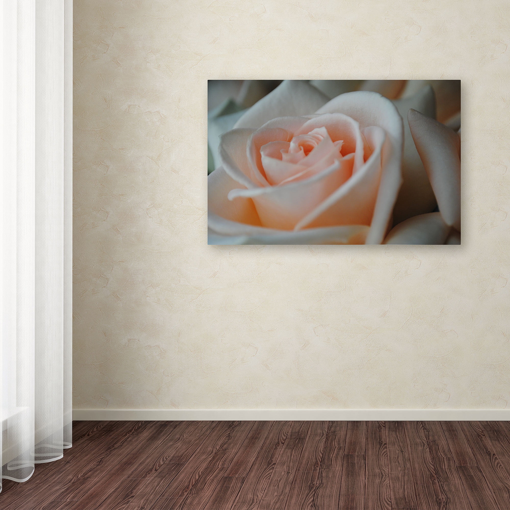 Trademark Fine Art "Perfezione" Canvas Art by Monica Fleet