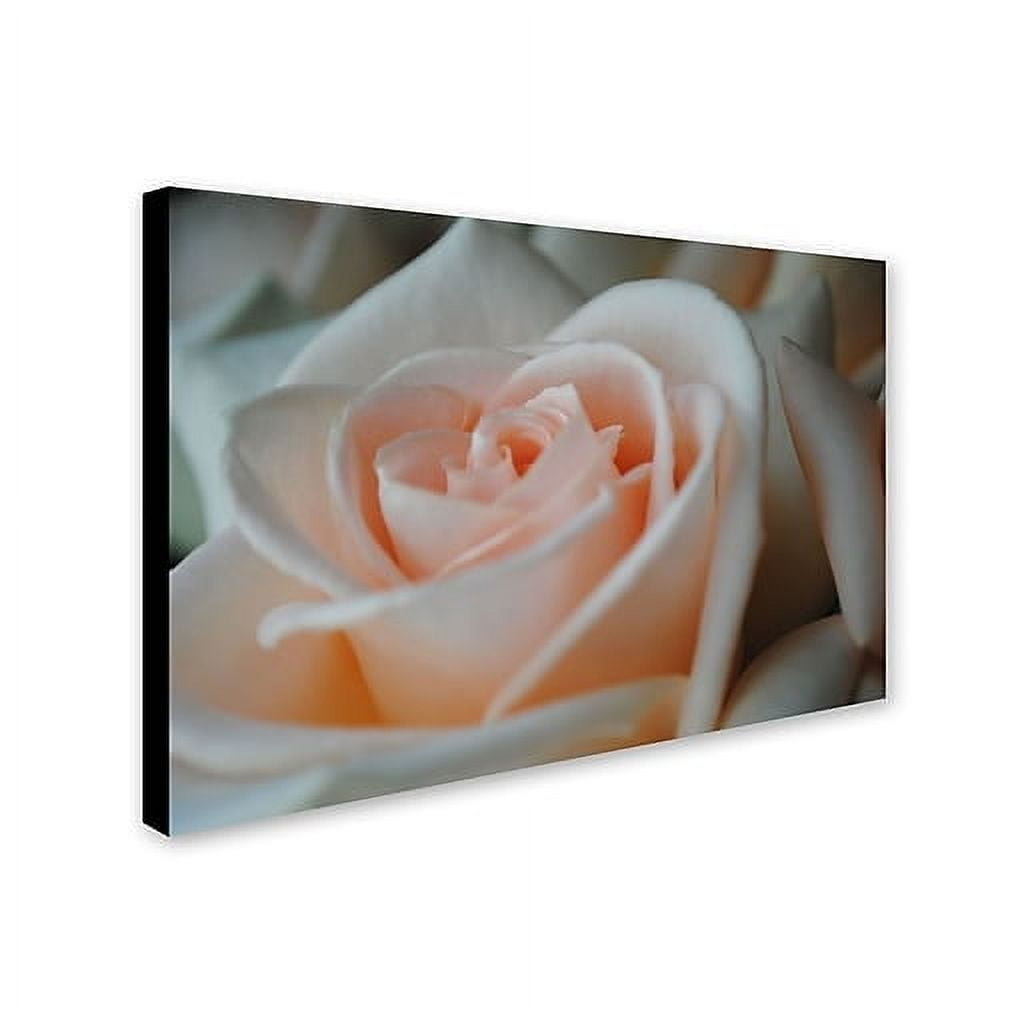 Monica Fleet Pink Flower Canvas Art, 26" x 35"