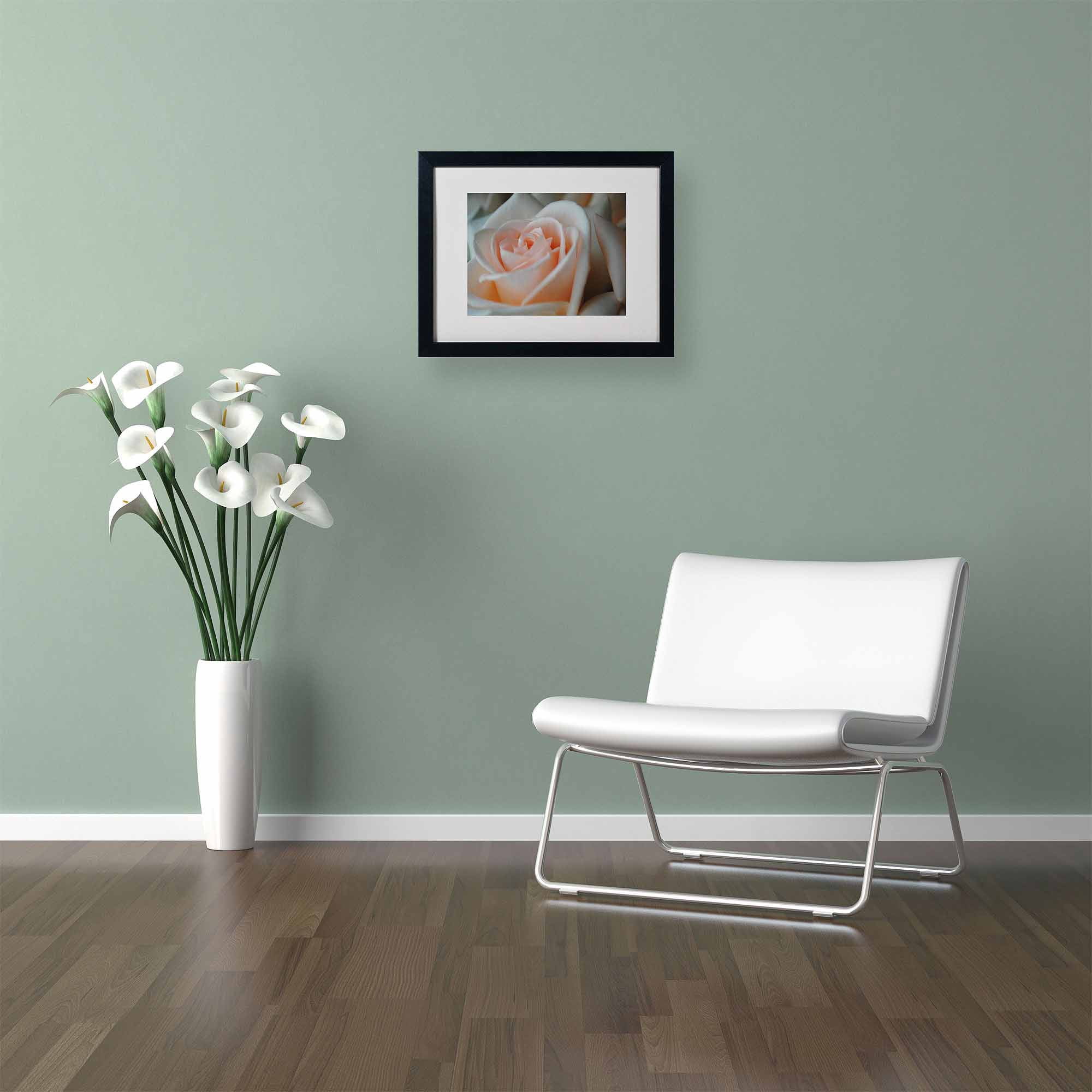 Trademark Fine Art "Perfezione" by Monica Fleet, Black Frame