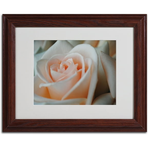 Trademark Fine Art "Perfezione" by Monica Fleet, Wood Frame