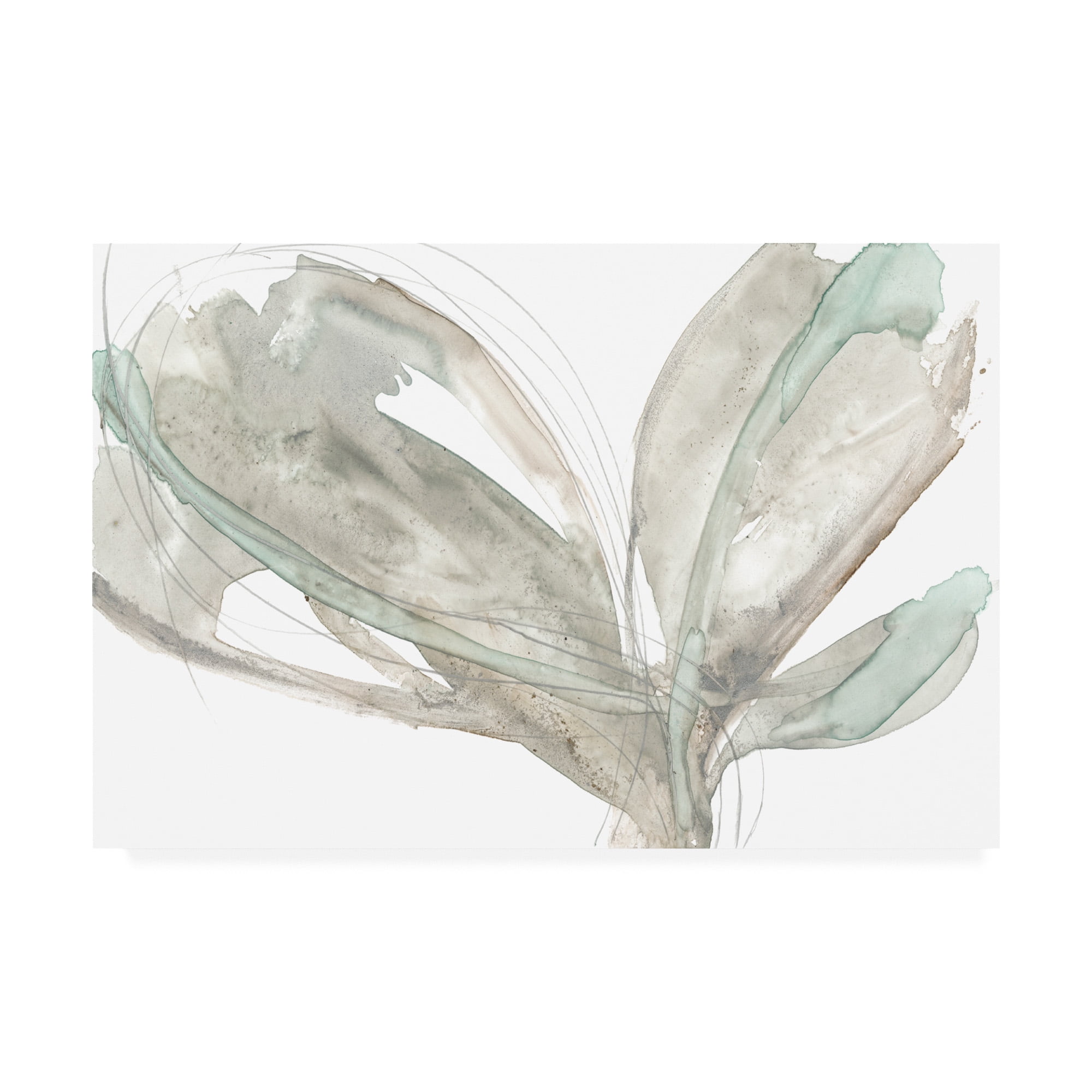 Trademark Fine Art 'Petal Vortex I' Canvas Art by Jennifer Goldberger