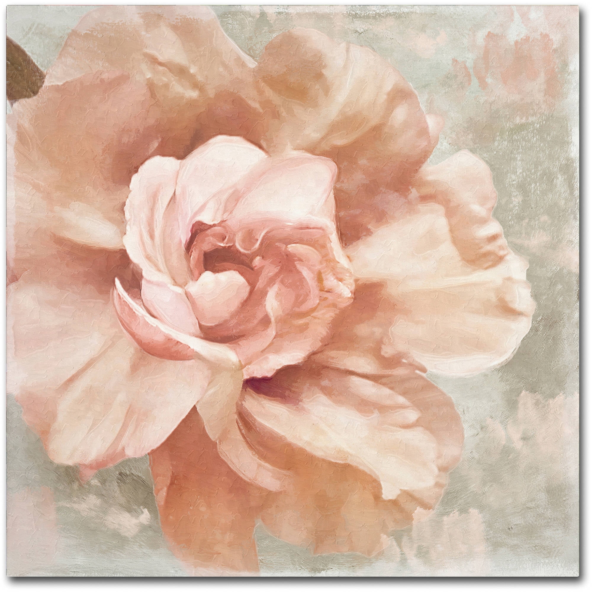 Trademark Fine Art "Petals Impasto I" Canvas Art by Color Bakery