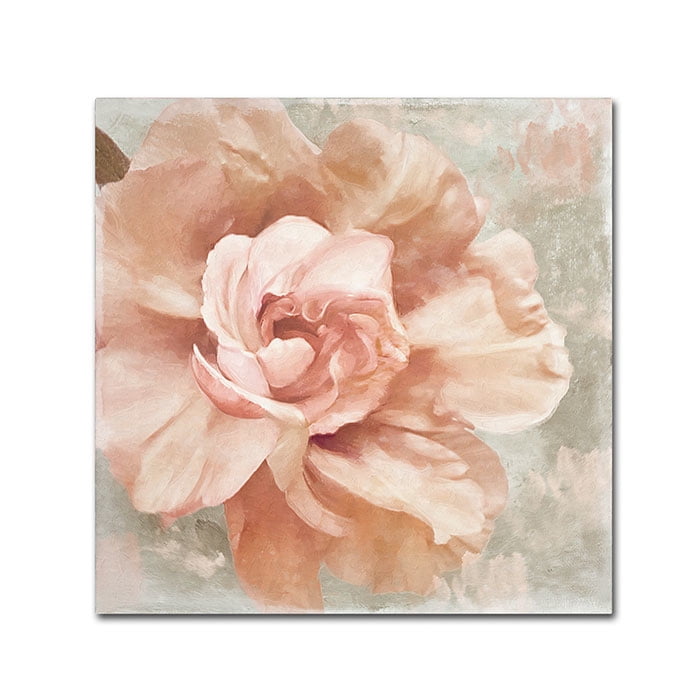 Trademark Fine Art "Petals Impasto I" Canvas Art by Color Bakery