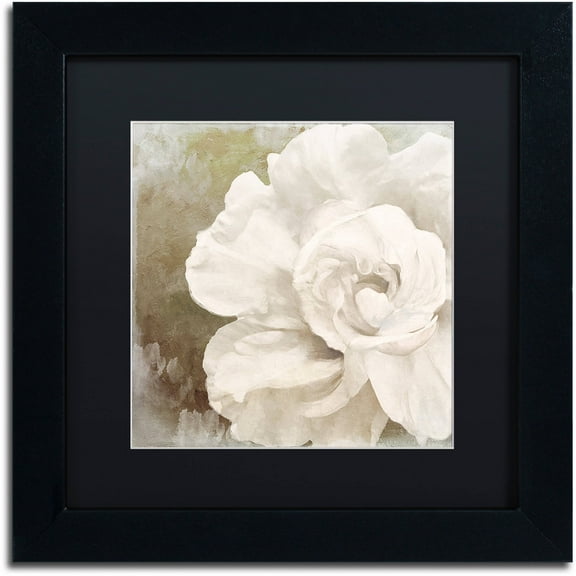 Trademark Fine Art "Petals Impasto II" Canvas Art by Color Bakery Black Matte, Black Frame
