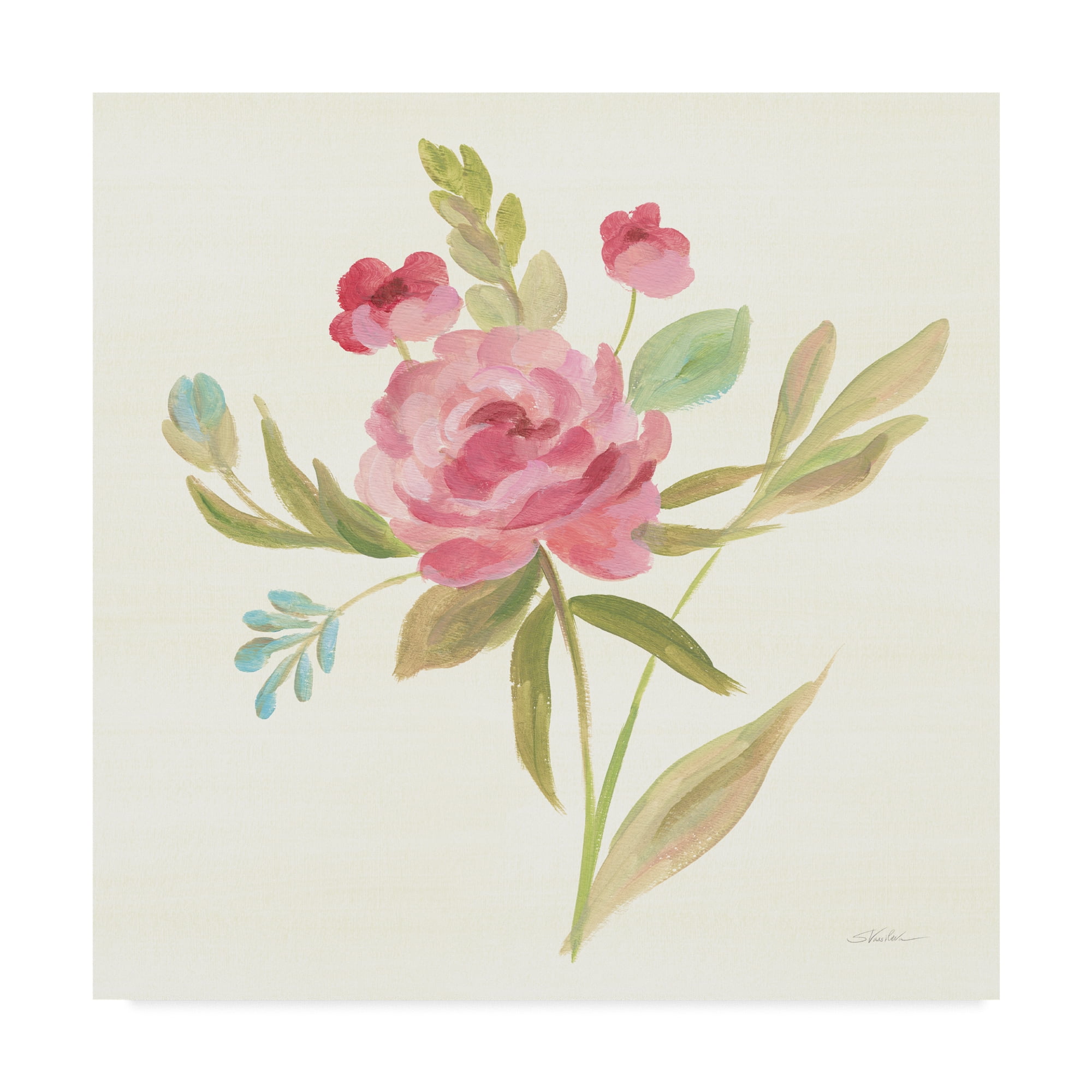 Trademark Fine Art 'Petals and Blossoms V' Canvas Art by Silvia Vassileva