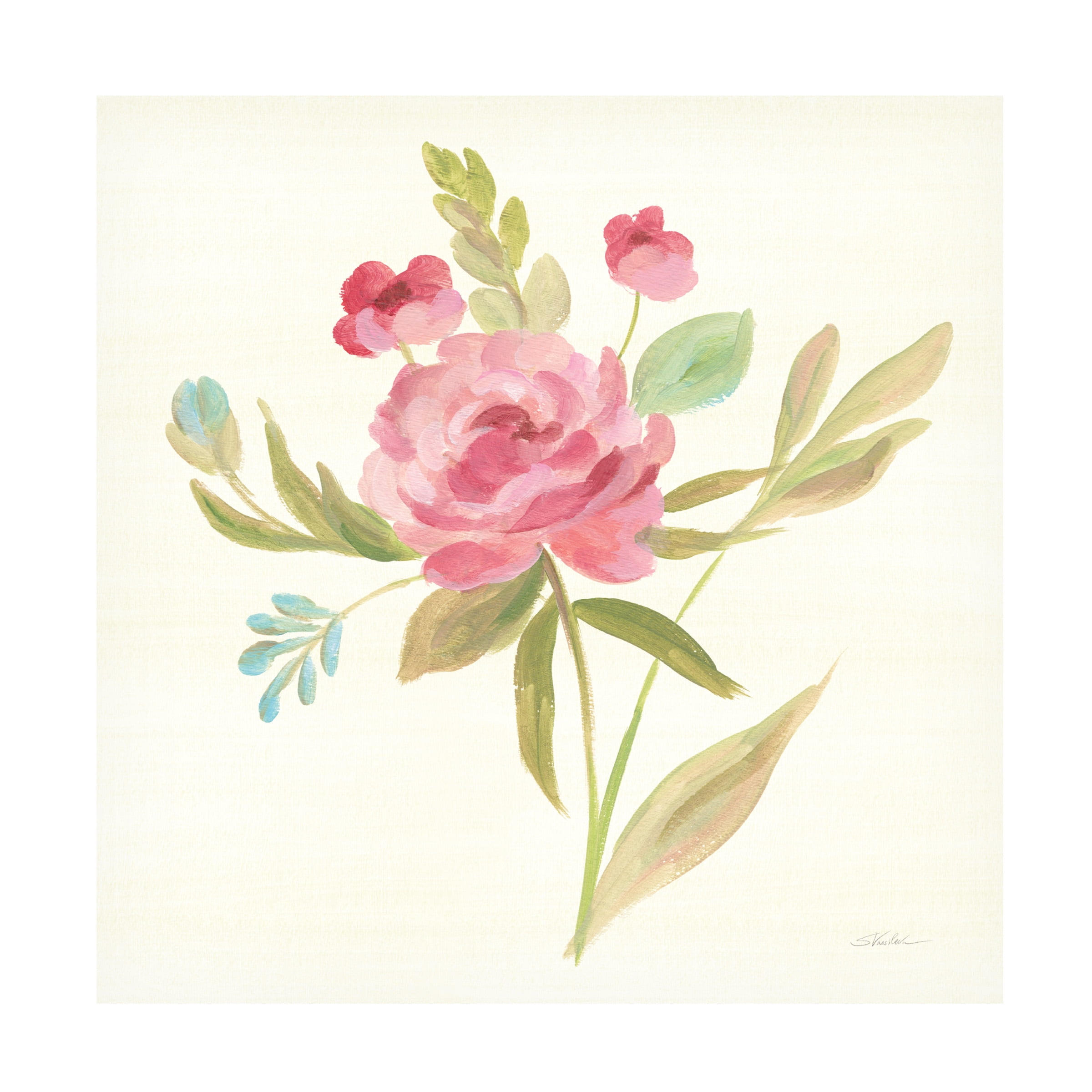 Trademark Fine Art 'Petals and Blossoms V' Canvas Art by Silvia Vassileva