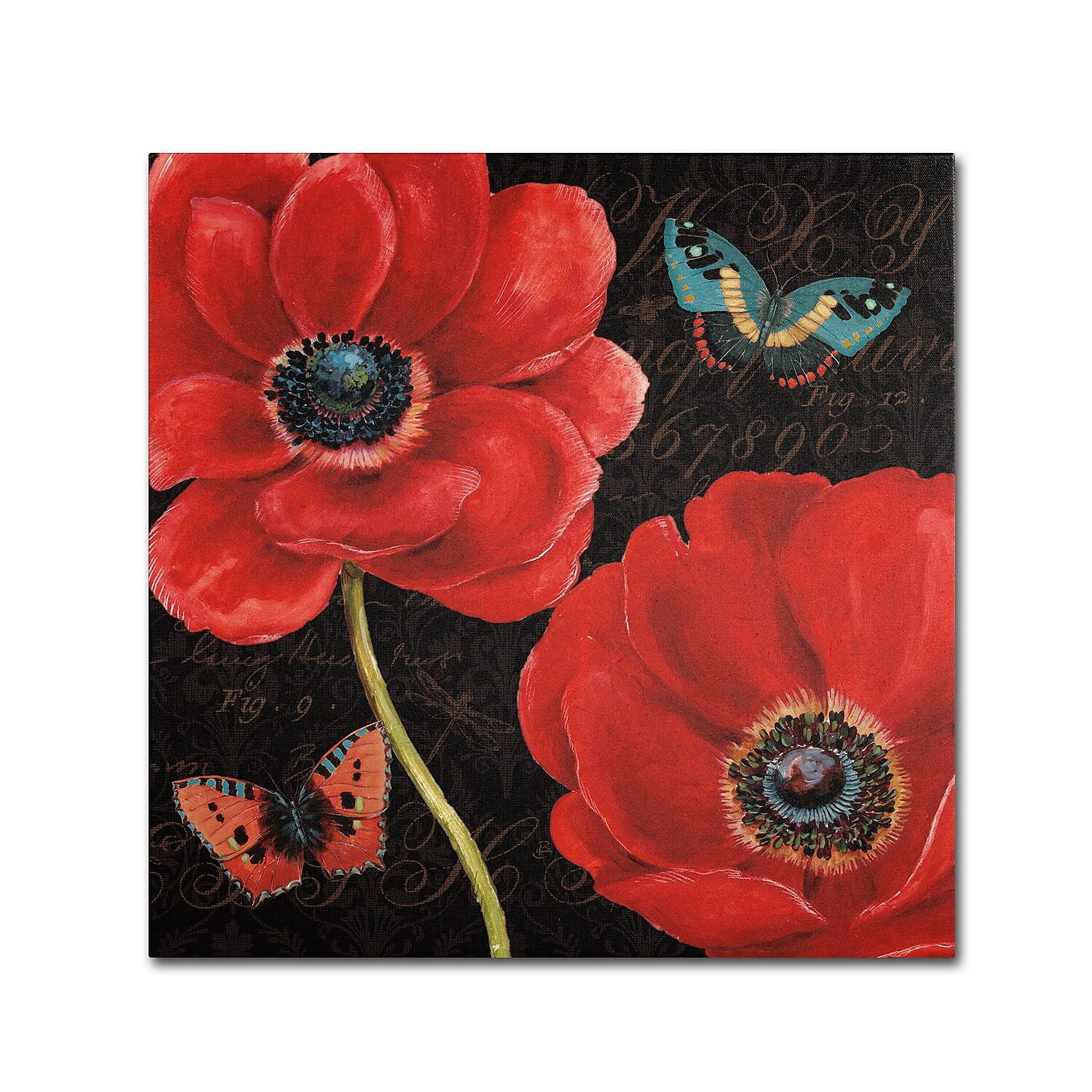 Trademark Fine Art "Petals and Wings II" Canvas Art by Daphne Brissonnet
