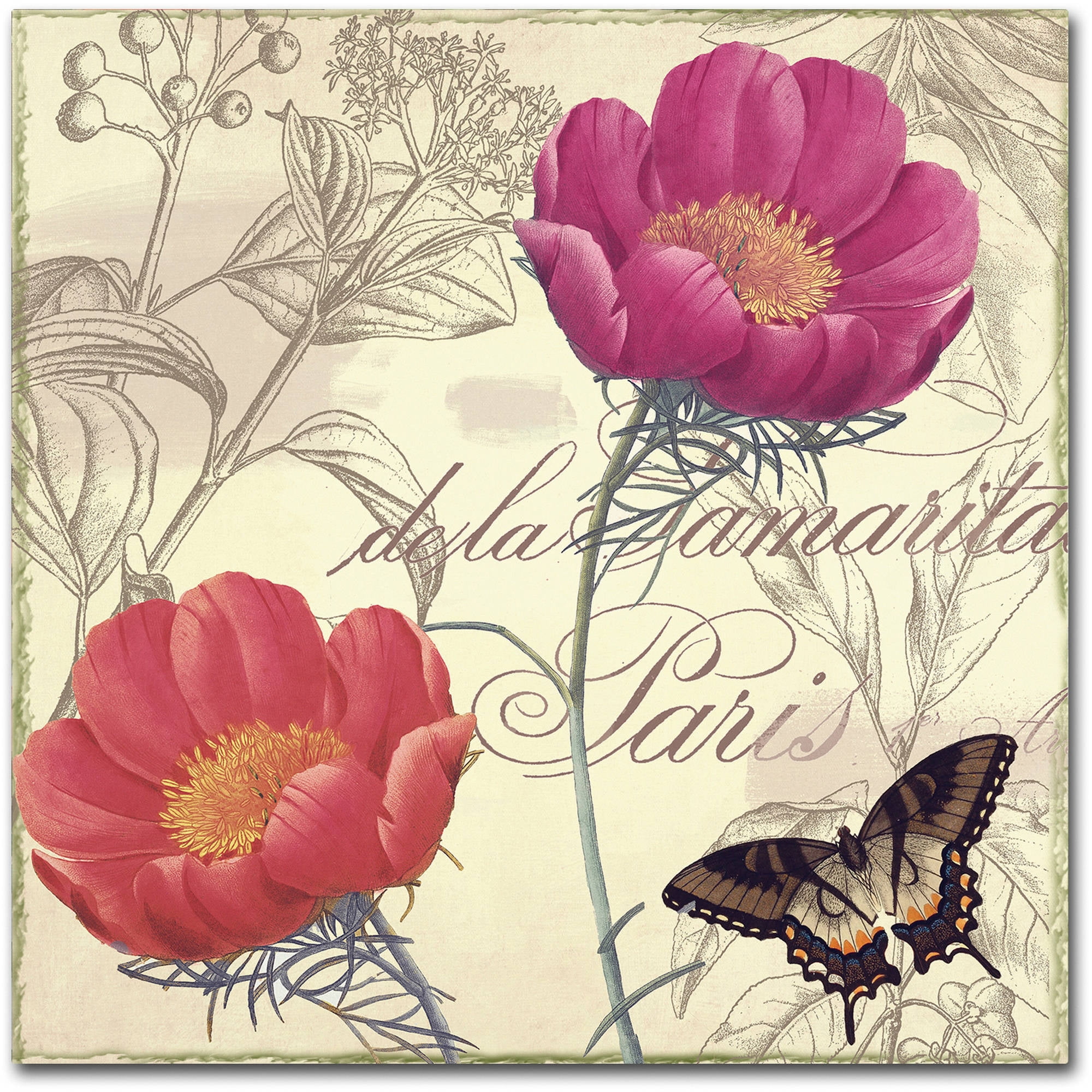 Trademark Fine Art "Petals of Paris I" Canvas Art by Color Bakery