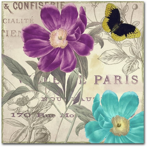 Trademark Fine Art "Petals of Paris II" Canvas Art by Color Bakery