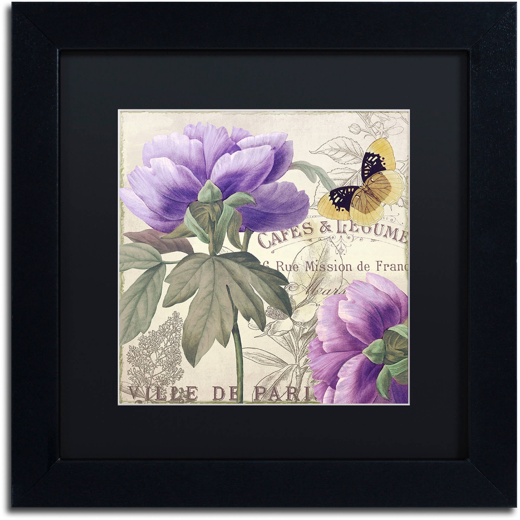 Trademark Fine Art "Petals of Paris IV" Canvas Art by Color Bakery Black Matte, Black Frame