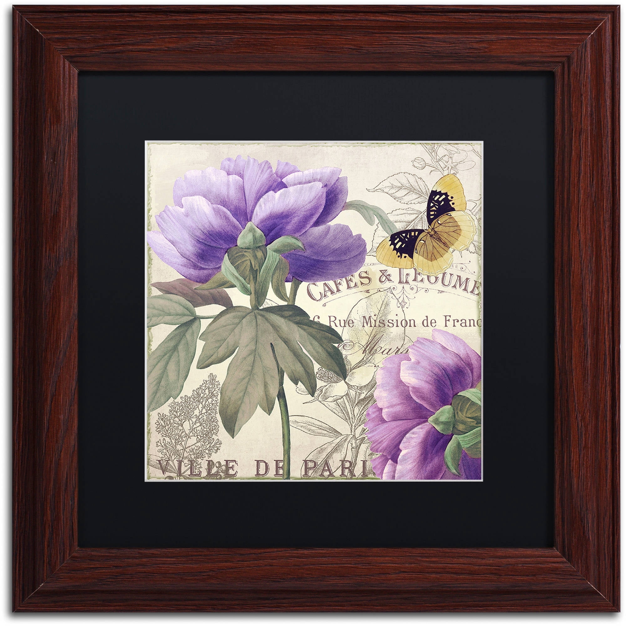 Trademark Fine Art "Petals of Paris IV" Canvas Art by Color Bakery Black Matte, Wood Frame