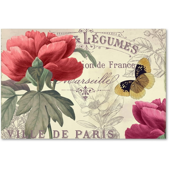 Trademark Fine Art "Petals of Paris V" Canvas Art by Color Bakery
