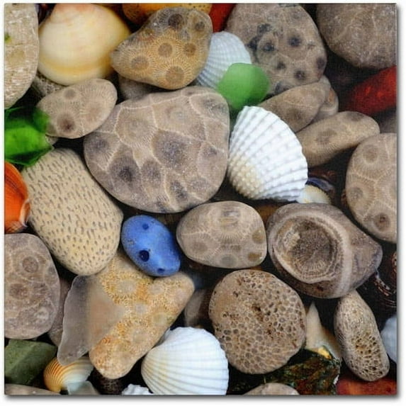 Trademark Fine Art "PetoskeyStones V" Canvas Art by Michelle Calkins