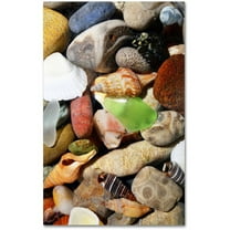 Trademark Fine Art "PetoskeyStones l" Canvas Art by Michelle Calkins