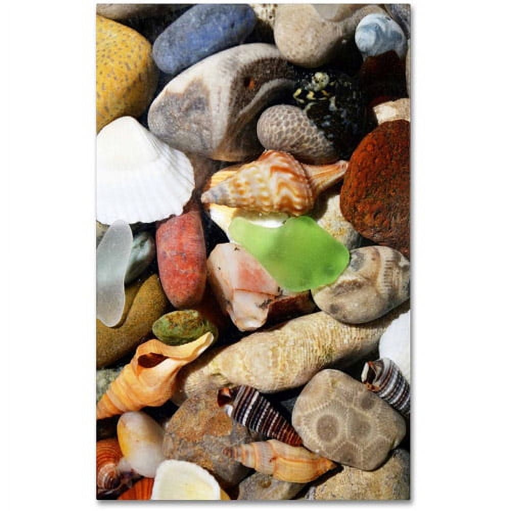 Trademark Fine Art "PetoskeyStones l" Canvas Art by Michelle Calkins
