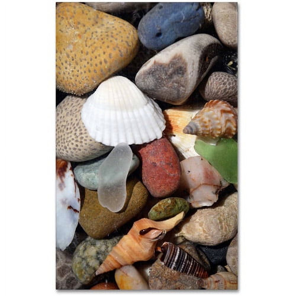 Michelle Calkins Petoskey Stones Framed Canvas Print, 49" x 37"