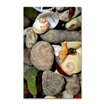 Trademark Fine Art "PetoskeyStones ll" Canvas Art by Michelle Calkins