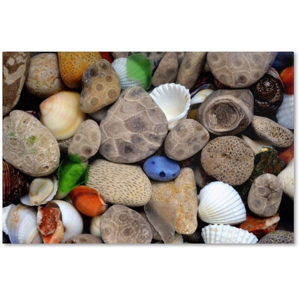 Trademark Fine Art "PetoskeyStones lll" Canvas Art by Michelle Calkins