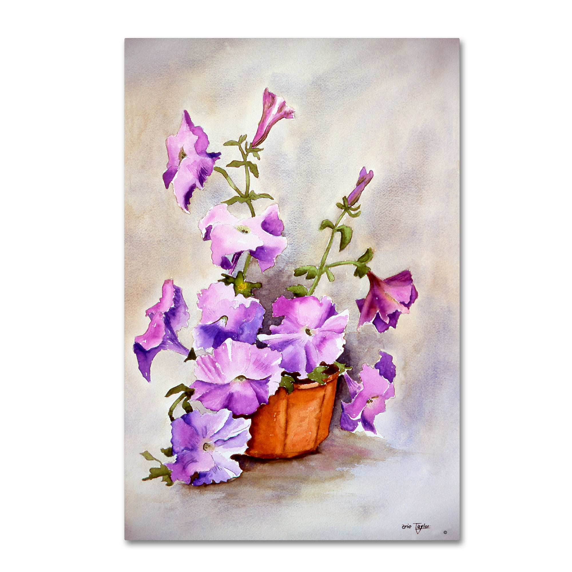 Trademark Fine Art 'Petunia' Canvas Art by Arie Reinhardt Taylor