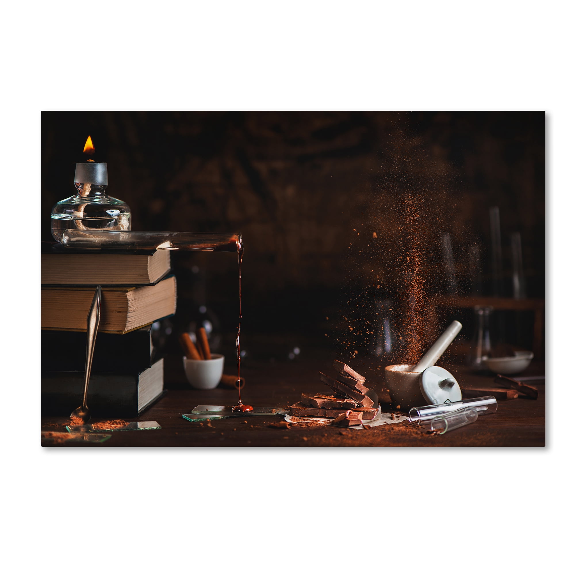 Trademark Fine Art 'Phases Of Chocolate' Canvas Art by Dina Belenko