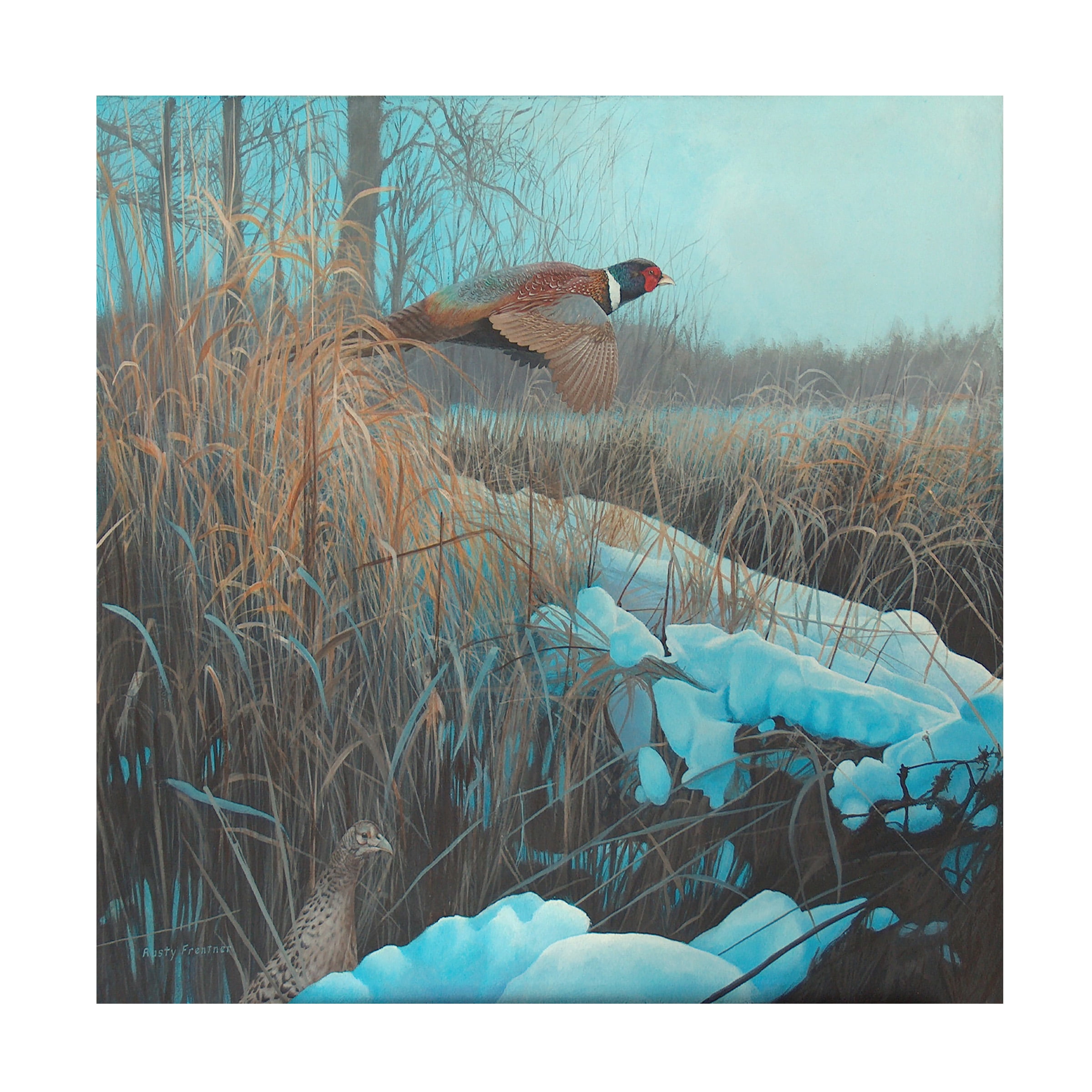 Trademark Fine Art 'Pheasant Acrylic 067' Canvas Art by Rusty Frentner