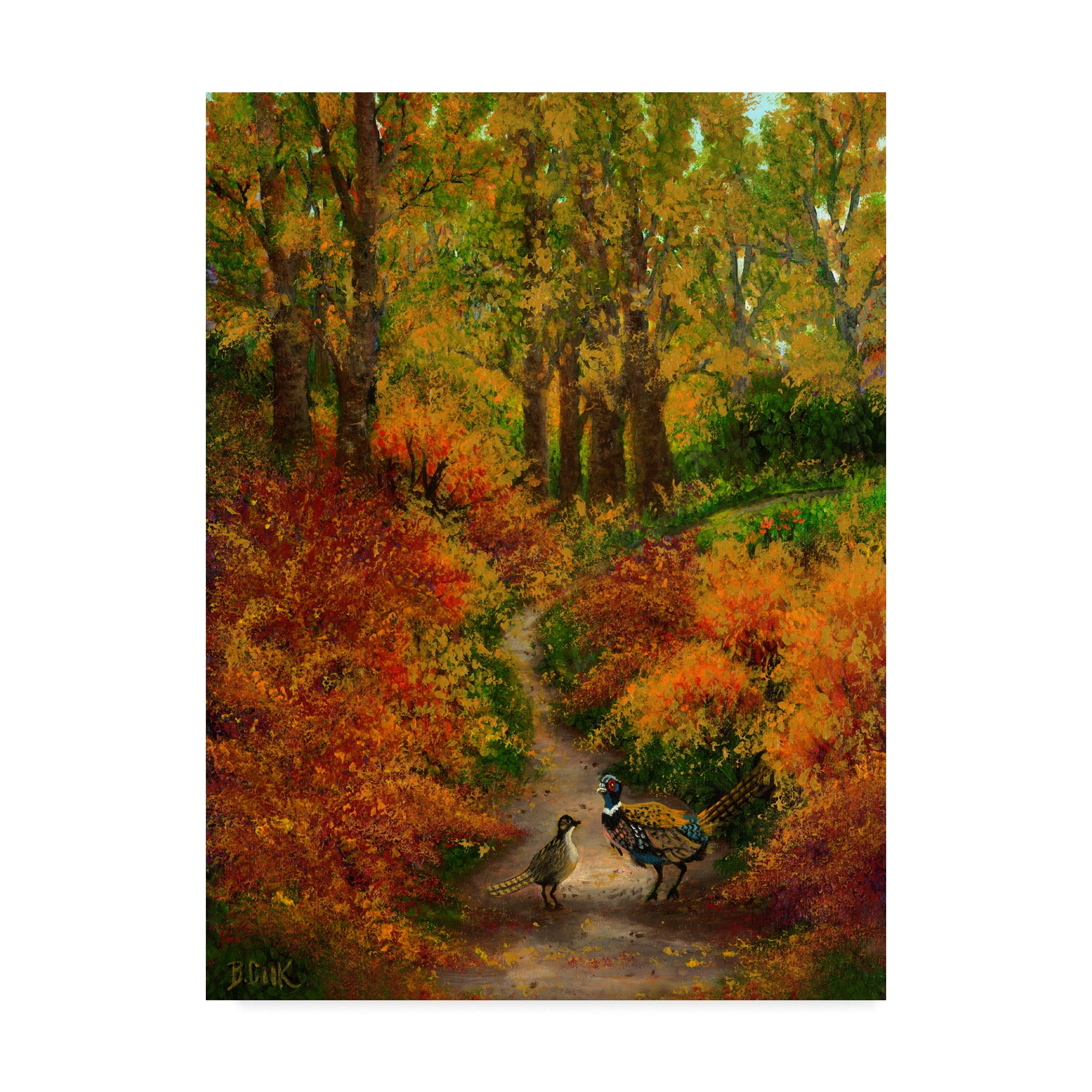 Trademark Fine Art 'Pheasant Road' Canvas Art by Bonnie B Cook