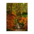 thumbnail image 1 of Trademark Fine Art 'Pheasant Road' Canvas Art by Bonnie B Cook, 1 of 3