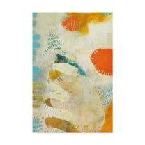 Trademark Fine Art 'Phenix III' Canvas Art by Sue Jachimiec