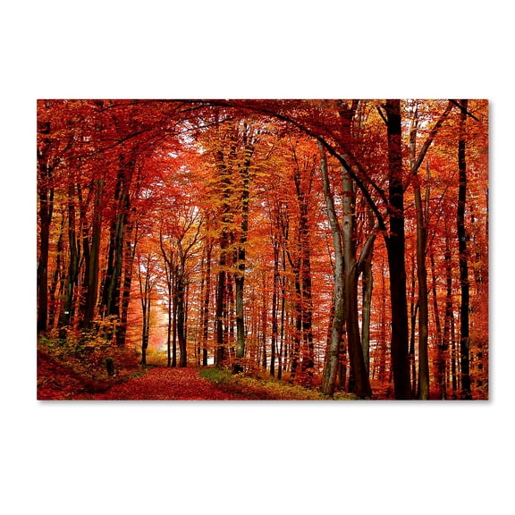 Trademark Fine Art Philippe Sainte-Laudy The Red Way Canvas Wall Art - 18x28