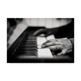thumbnail image 1 of Trademark Fine Art 'Piano Player Hands' Canvas Art by Giuseppe Torre, 1 of 3