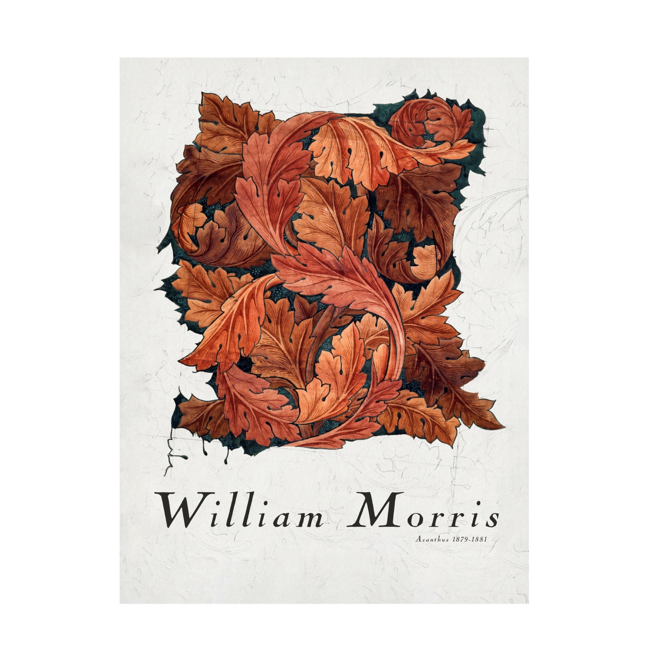 Trademark Fine Art Pictufy Acanthus Canvas Wall Art