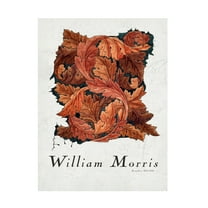 Trademark Fine Art Pictufy Acanthus Canvas Wall Art
