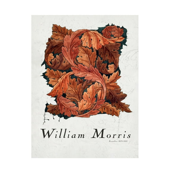 Trademark Fine Art Pictufy Acanthus Canvas Wall Art