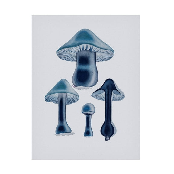 Trademark Fine Art Pictufy Agaricus Bulbosus Blue Canvas Wall Art