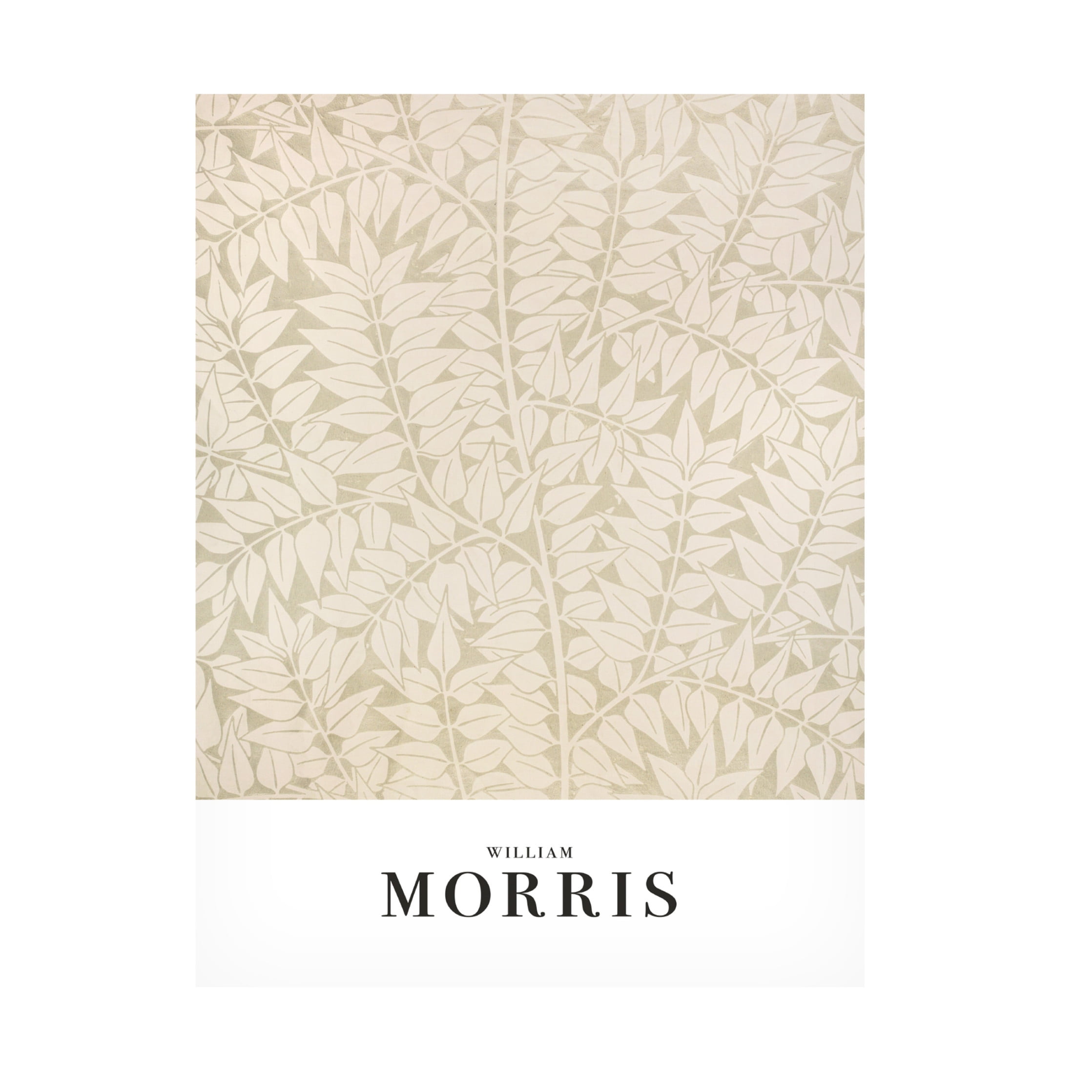 Trademark Fine Art Pictufy  Branch Canvas Wall Art
