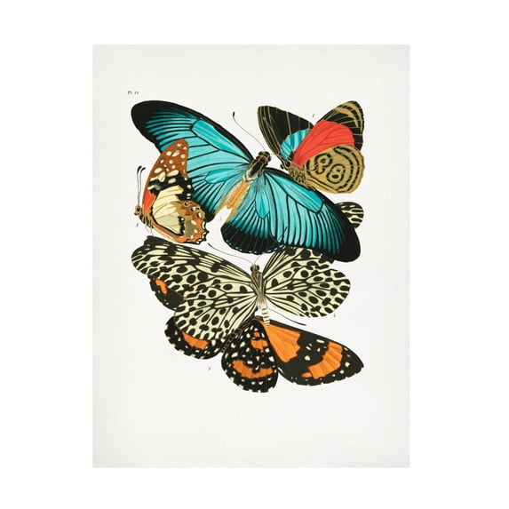 Trademark Fine Art Pictufy Butterflies 1 Canvas Wall Art
