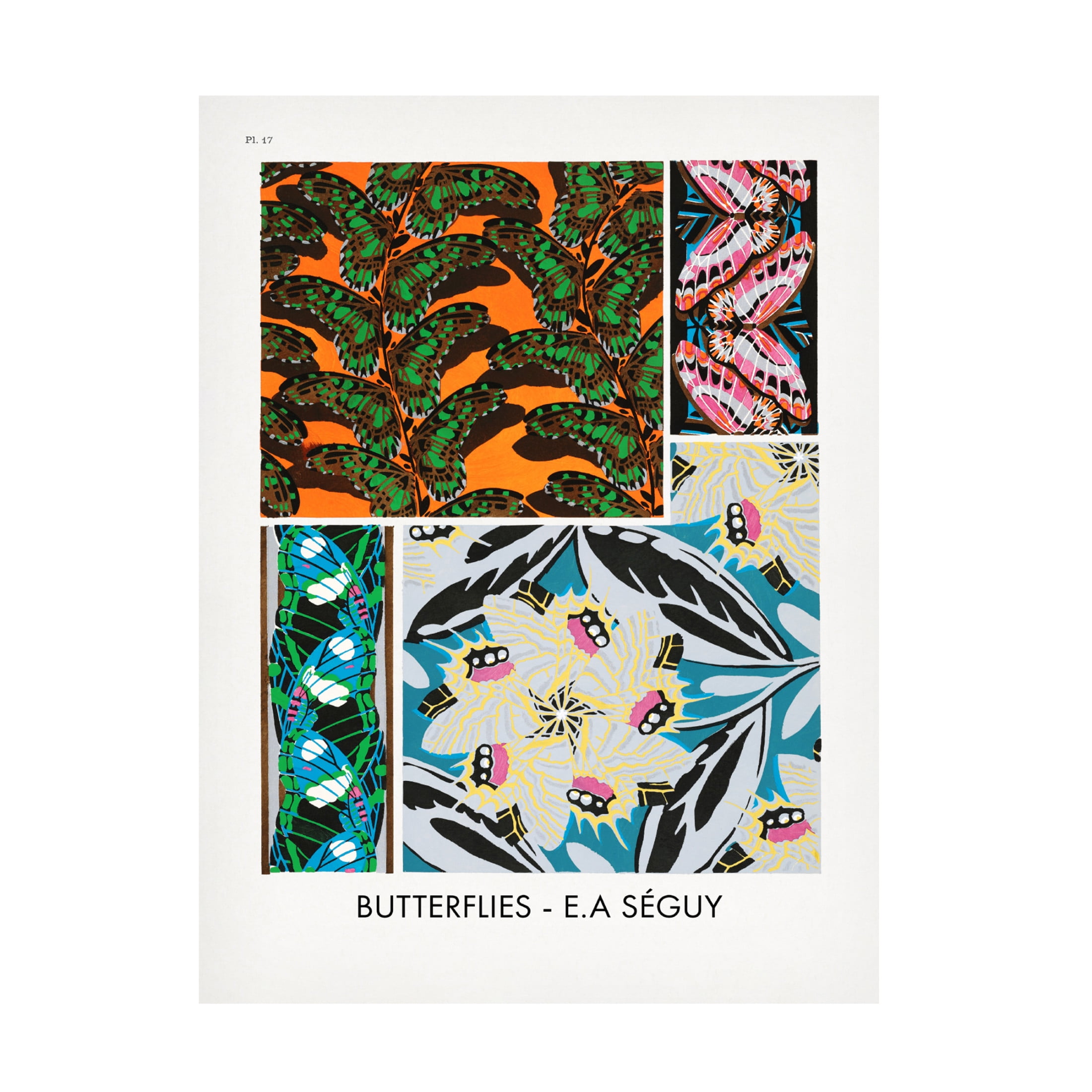 Trademark Fine Art Pictufy Butterflies 17 Canvas Wall Art