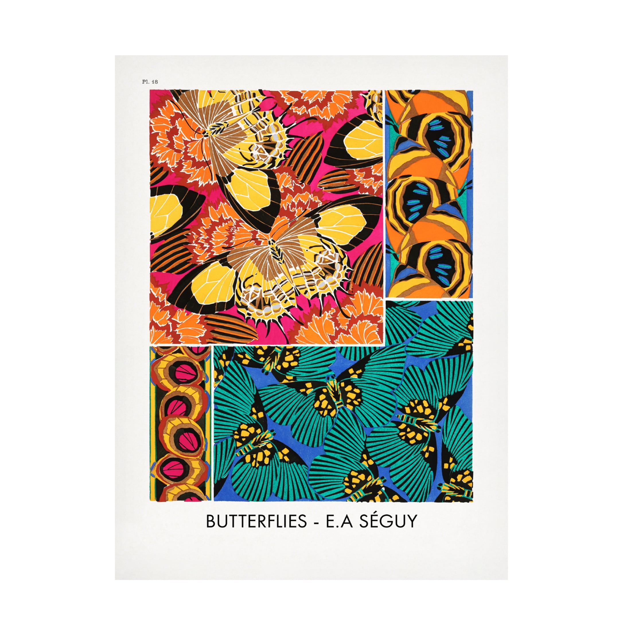 Trademark Fine Art Pictufy   Butterflies 18 Canvas Wall Art