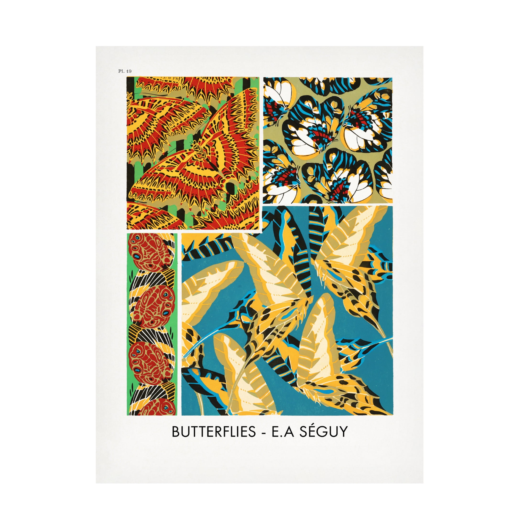 Trademark Fine Art Pictufy Butterflies 19 Canvas Wall Art