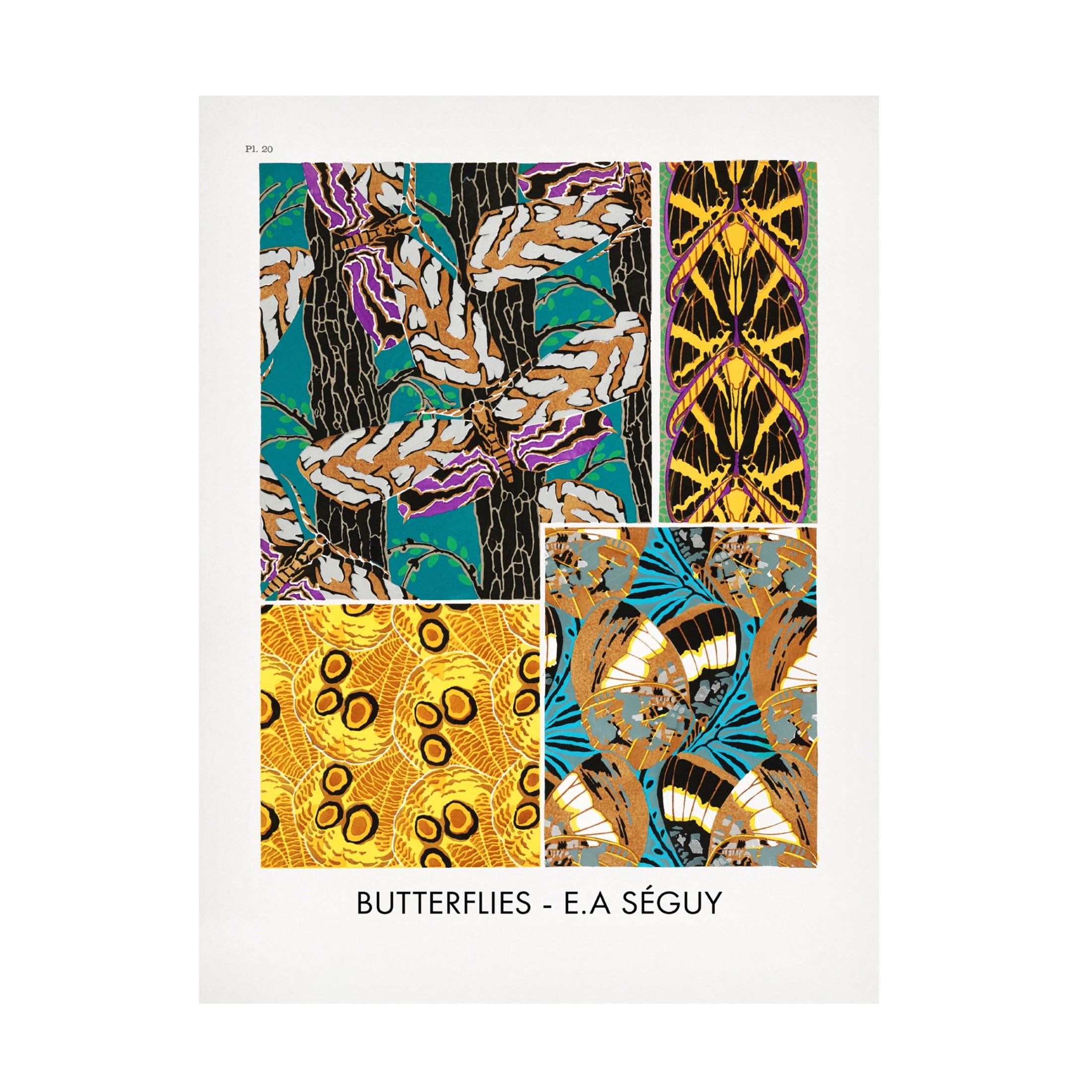 Trademark Fine Art Pictufy   Butterflies 20 Canvas Wall Art
