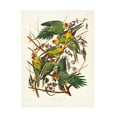 thumbnail image 1 of Trademark Fine Art Pictufy Carolina Parrot From Birds of America 1827 Canvas Wall Art, 1 of 4