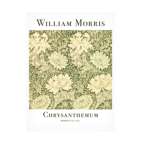 Trademark Fine Art Pictufy Chrysanthemum Canvas Wall Art