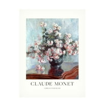 Trademark Fine Art Pictufy Chrysanthemums Canvas Wall Art