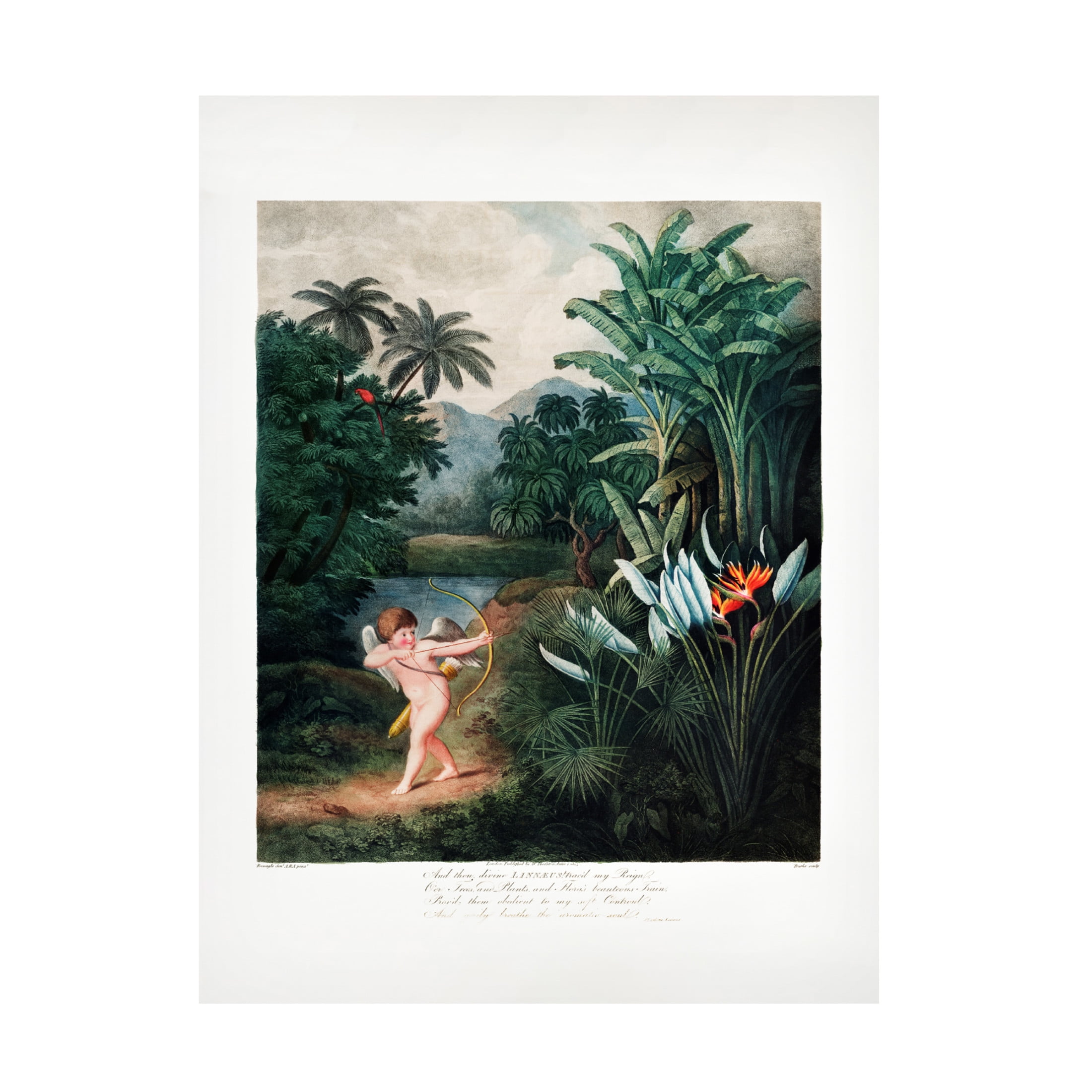 Trademark Fine Art Pictufy  Cupid Inspiring Plants with Love Canvas Wall Art