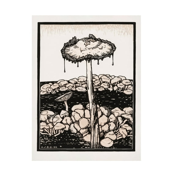 Trademark Fine Art Pictufy Dripping Mushroom 1916 Canvas Wall Art