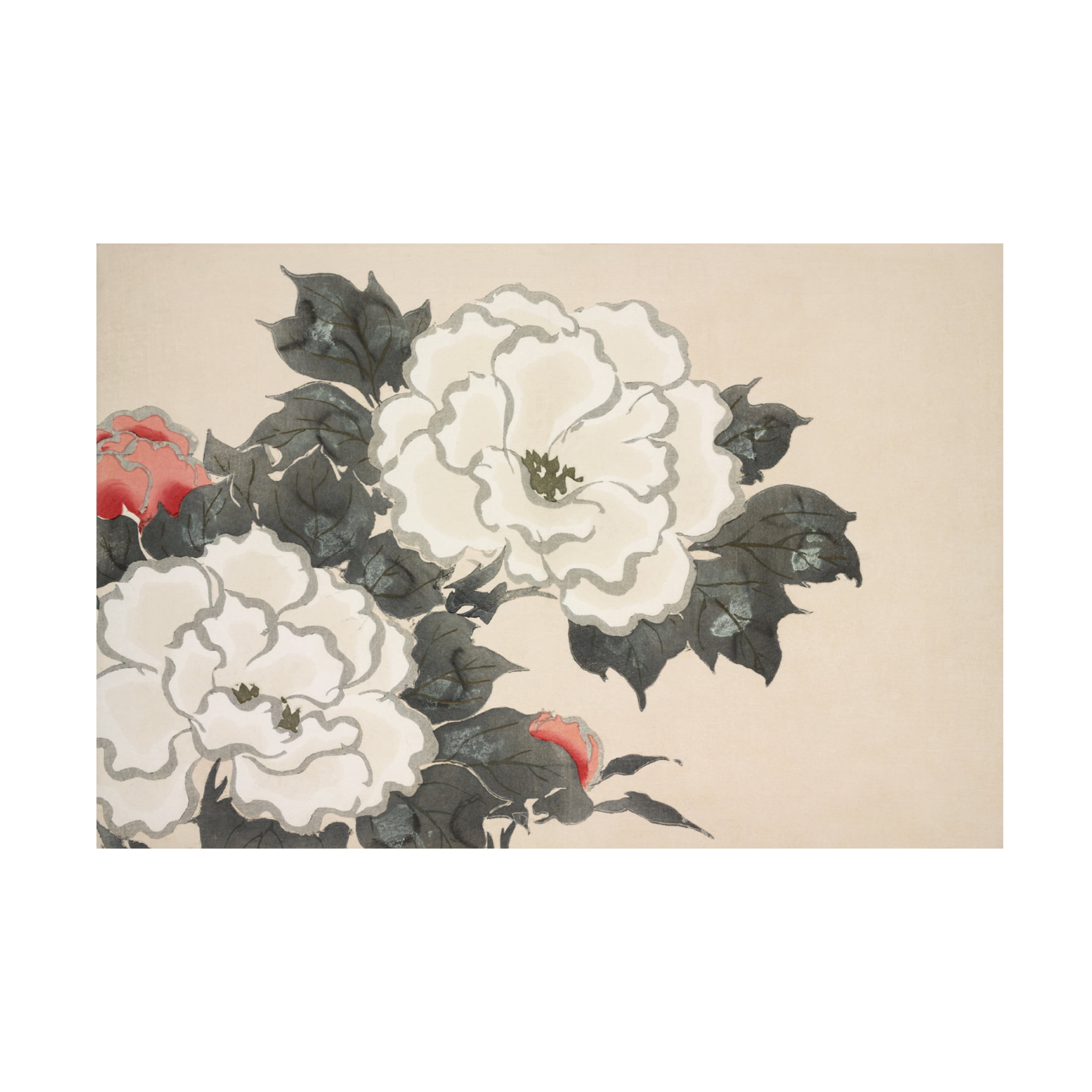 Trademark Fine Art Pictufy  Flowers From Momoyogusa Canvas Wall Art